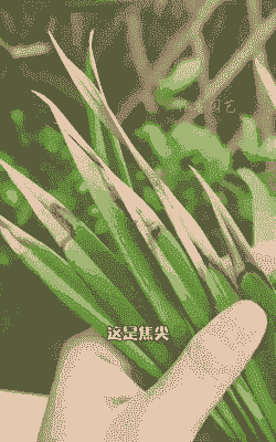 产后母猪喘咋办