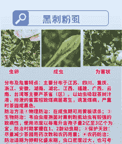 母猪产后便秘的方法