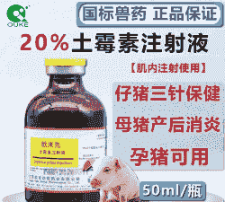 母猪产后土霉素