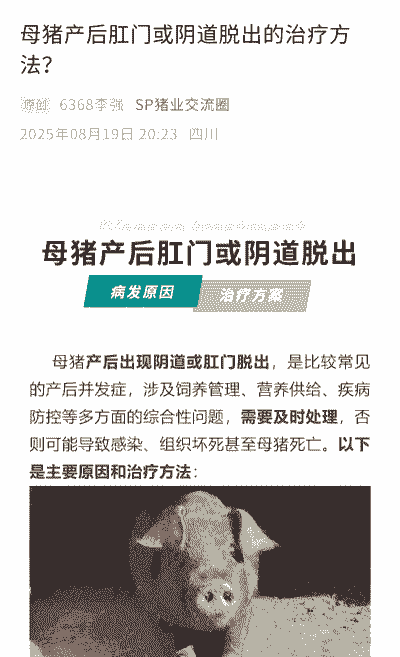 母猪产后脱肛怎么解决