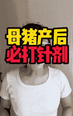 母猪产后必打的针