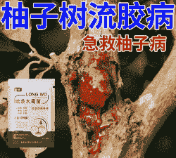 母猪产后子宫清理几次