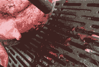 母猪产后外阴受损出血