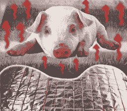 母猪产后用什么取暖