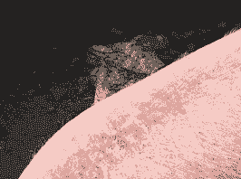 母猪产后没食欲差