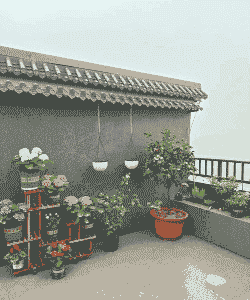 露台养花布置农村 露台养花布置农村