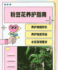 豆粉养花的正确用法