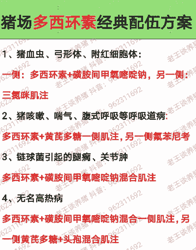 母猪产后消炎配伍