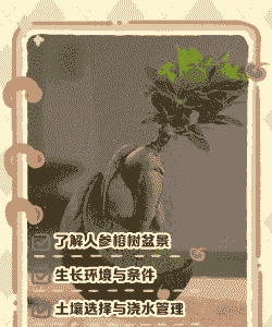 大桩小盆怎么养花