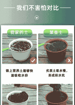 到底什么土最好养花