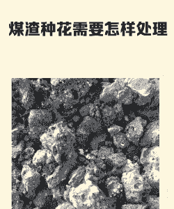 豆浆渣子能养花吗