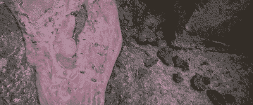 母猪产后尿液有血