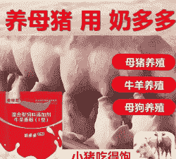 母猪产后喂羊奶好吗