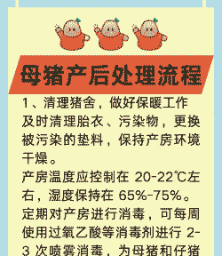 关于母猪产后护理意义