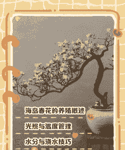 海岛家园怎么养花草