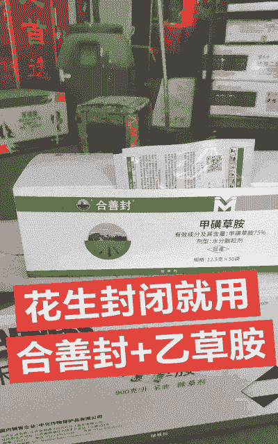 养花打什么封闭药