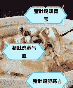 母猪产后能吃鸡汤吗