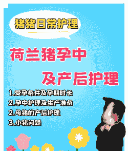 母猪产后护理对应专业