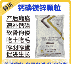 产后母猪吃钙片