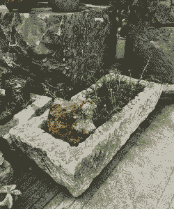 石头槽子养花排水不好