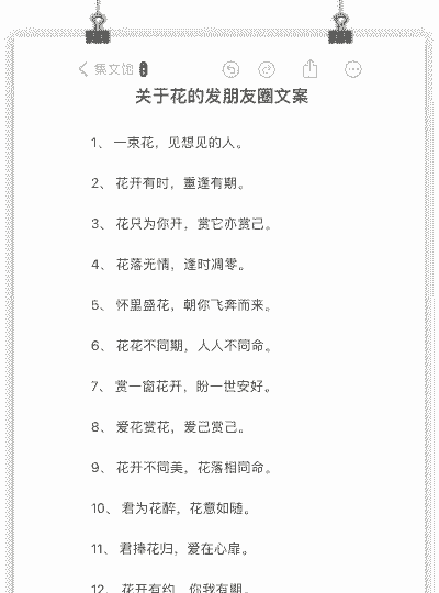 室内养花的文案生活