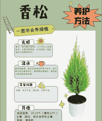 怎么保养花草树