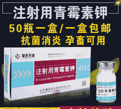 母猪产后消炎针 头孢