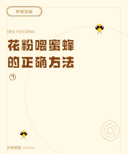 蜜蜂喂养花粉方法