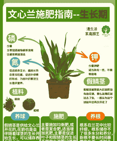 家里养花怎么施肥推荐