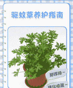 阳台养花驱虫需要多久