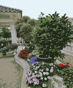 家养花卉户外摆放