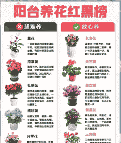 怎么种花养花推荐语 怎么种花养花推荐语