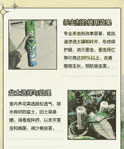 盆栽养花泥土杀虫方法 盆栽养花泥土杀虫方法