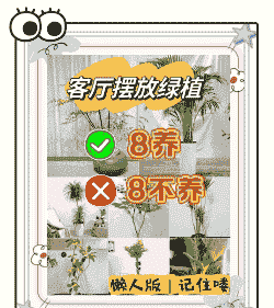 怎么买客厅养花盆 怎么买客厅养花盆