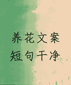 在家阳台养花文案短句 在家阳台养花文案短句