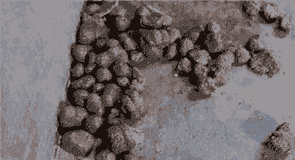 母猪产后厌食 大便干燥