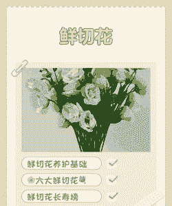 养花为了切花的说说