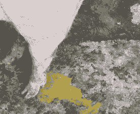 母猪产后拉稀呈水样