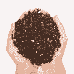 凉台养花用什么土