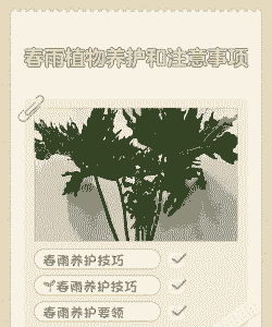 户外养花如何防雨水