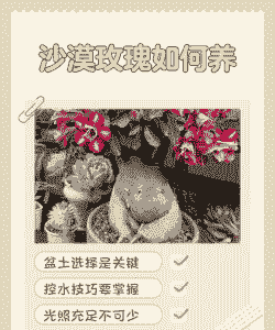 细沙养花缺点有哪些