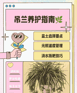 高空养花安全措施