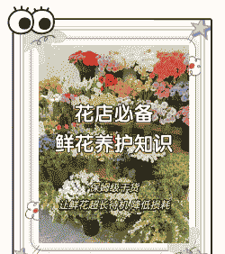花店养花有什么忌讳