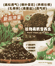 土壤花营养土养花 土壤花营养土养花