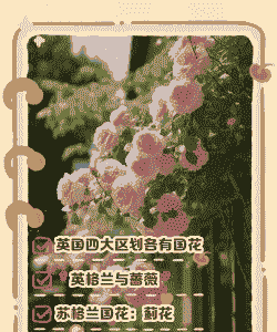 特别喜欢养花的国家