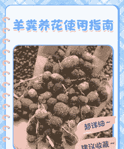 羊粪土怎么养花草