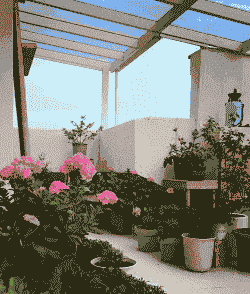 阳光房养花气温