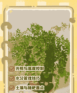 养花补氧补铁方法