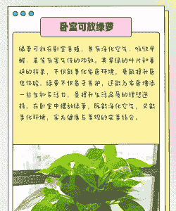 卧室养花的搭配秘诀