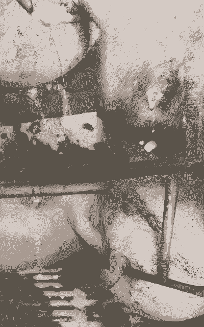 母猪产后尿不通畅